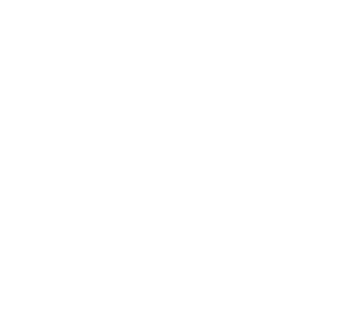 Web Hosting Services